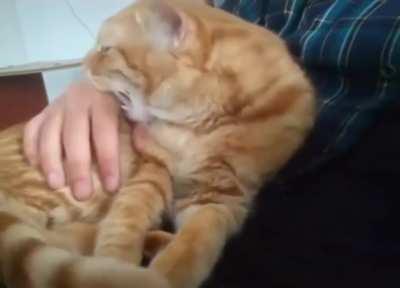 MRW my mom opens the curtains while im sleeping