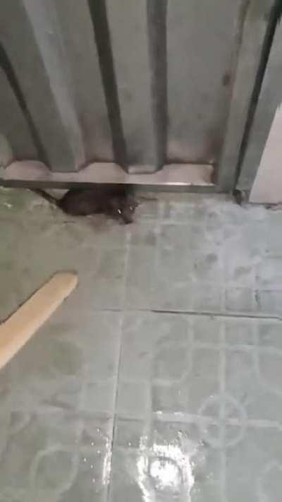 Wow thanks for nothing