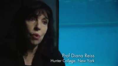 The second I heard jack make this sound I knew what I had to do