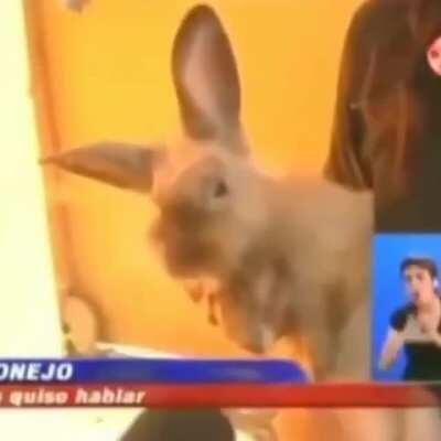 RESPONDE HIJOPUTA 🤬🤬🤬🤬