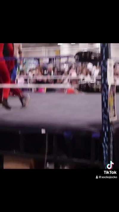 someone asked for a version with pikmin sounds, so i did it