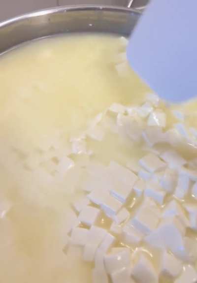 First stir of freshly cut homemade cheese curds that will become a wheel  of gouda cheese.