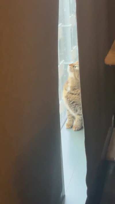 Agnes enjoying the snow