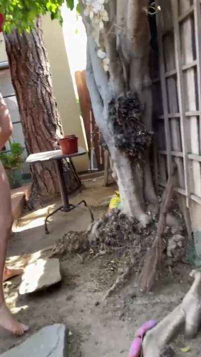 Playful Molly just loves peeing outside! [F]