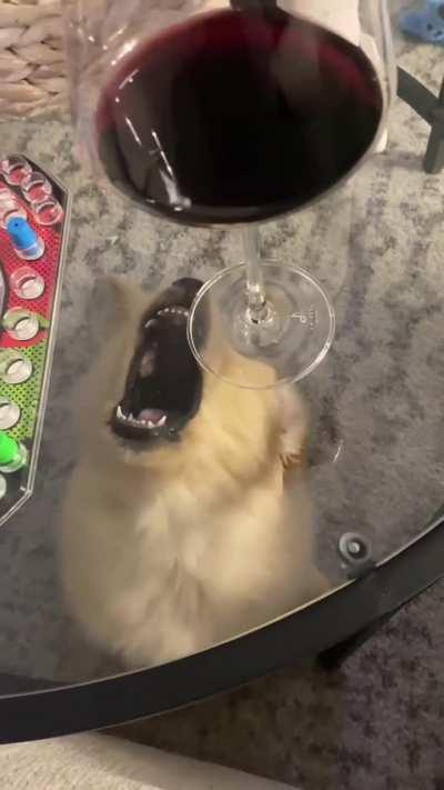 Let me have a sip of wine