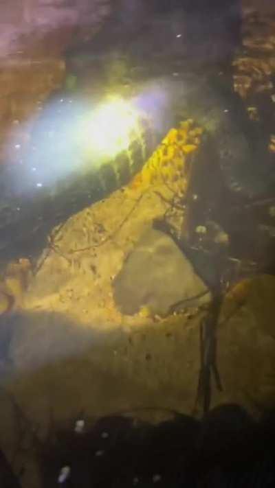 Dude exploring a creek tunnel