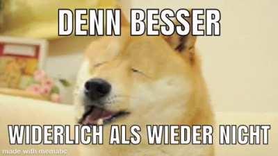 Le Rammstein fan has arrived