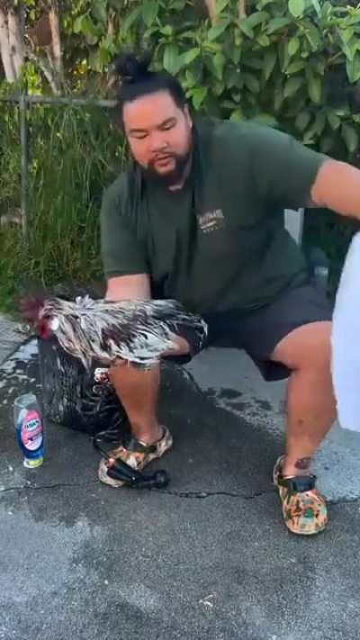 Remember to wash your cock