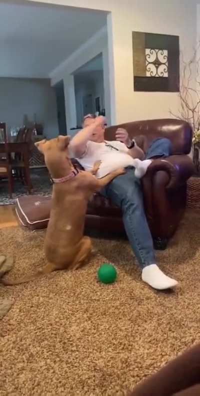 When you're not getting enough attention and pets