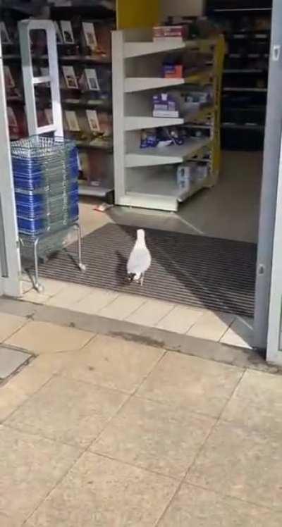 He's back at it again...