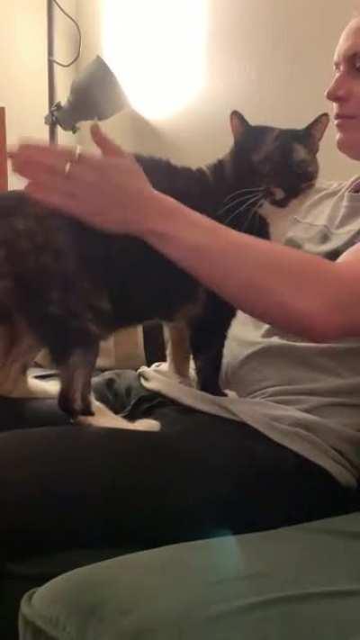 A bongo drum AND a vocalist. Quite the talented cat.