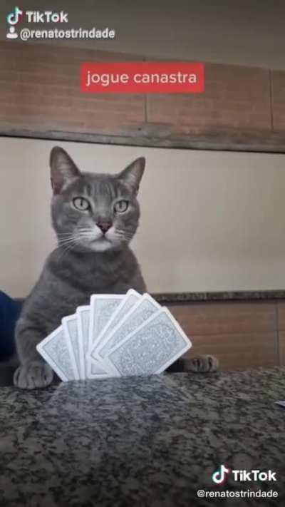 perdoa o ticoteco e não desiste do post