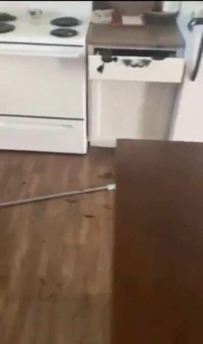 WCGW giving soo much power to a kid