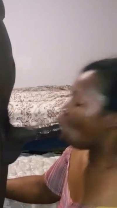 BBC Blowjob Compilation Ebony Sloppy Porn GIF by compcomp