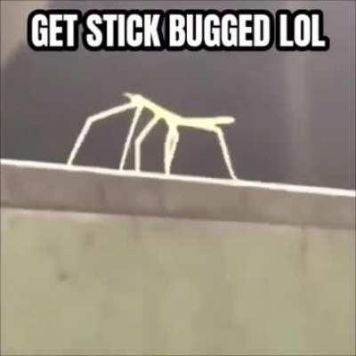 [Meme] Just the Gamecube Intro