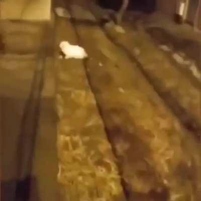 The pants are escaping