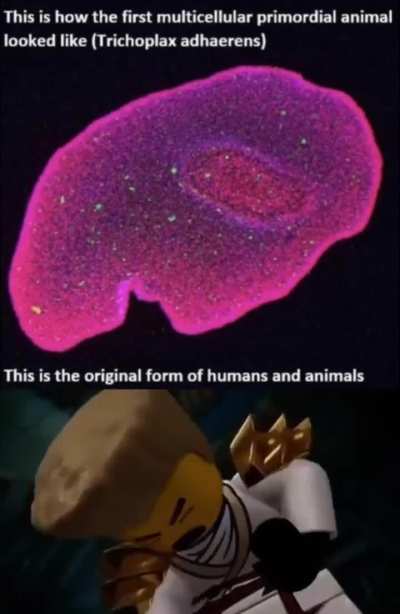 Not crazy not crazy not crazy Nuh uh.