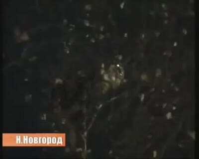 Домой, спать.