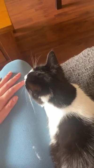 I’ve had Gigi a week…. I think she likes me