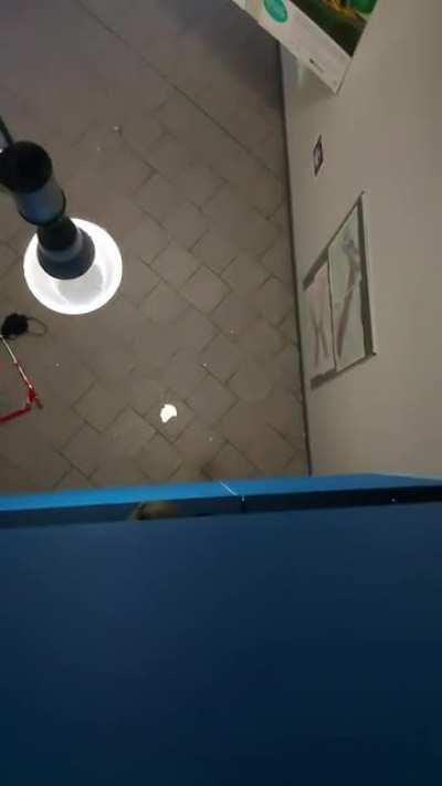 Me and my friends dropping BIG piece of plaster from 3rd floor