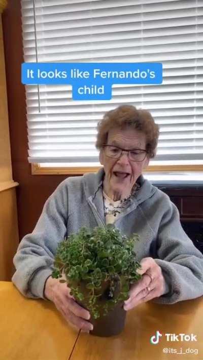 Someone sent me this from Tik Tok and oh my the ACCURACY of when I present my plants to people.