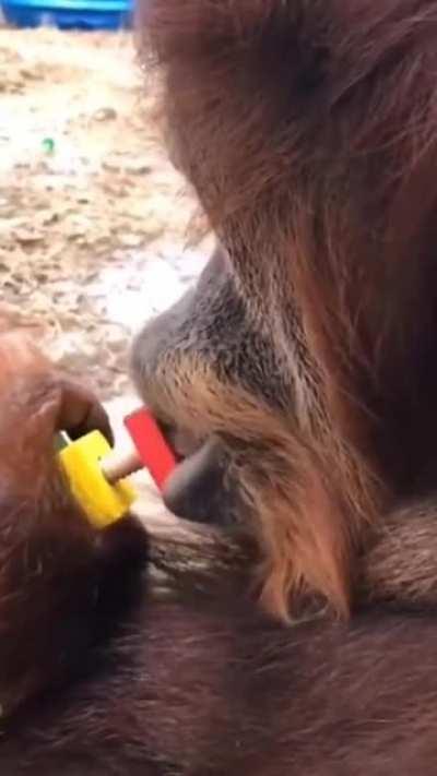 thats what lips are for