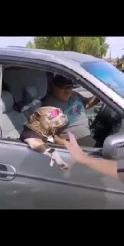 Facha máxima 🤑😎