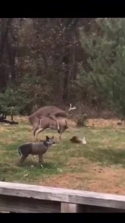 To have some pleasure