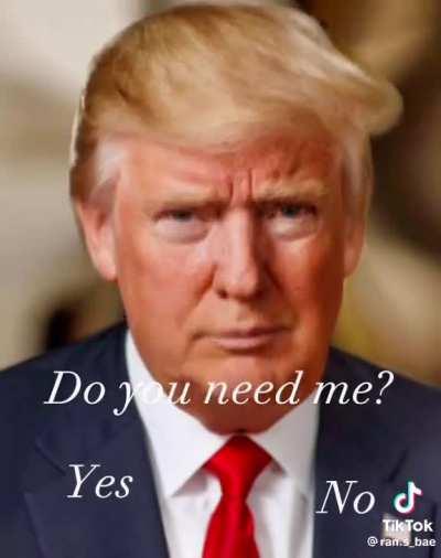 your donald trump is idk