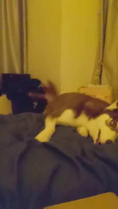 Evening arguments for coming onto the bed