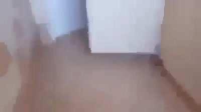 Ej ale on nie hcail😔