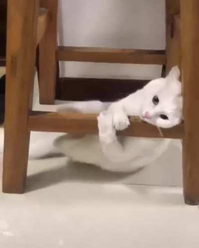 Why can I not solve a simple problem?