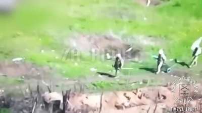 RU POV: Russian drone monitors Ukrainian soldiers with a white flag on the frontline lines