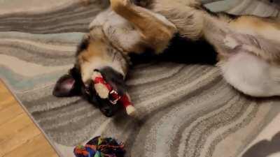 My favorite goofy boy