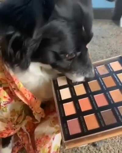 Dog make up tutorial