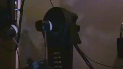 Bone, the dogs heavy metal band