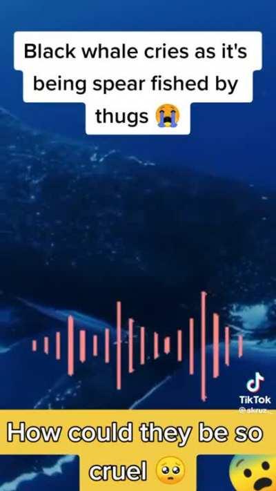 Does anyone have the actual video to this audio