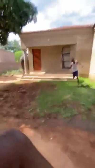 Who Let The Elephant Out😅😅