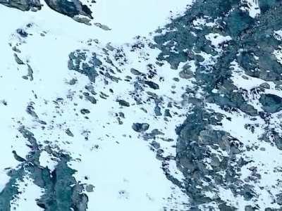 🔥 Snow leopard and Ibex take a tumble