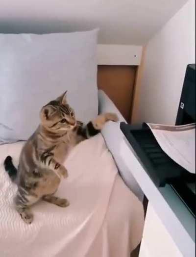 'Get out when I tell you'