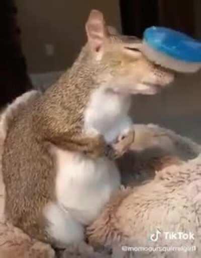 Reposting. A little brushing!