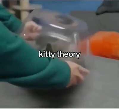 Cats when observed vs cats when not observed