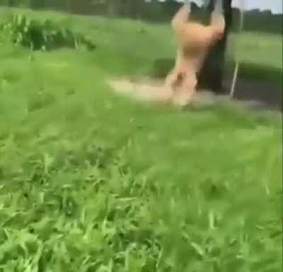 While a certain someone is in his Chicago office right now about to end up in jail we're free to do whatever. Turn off reddit, go out and have fun. I'll see you later Link for the original creator:  