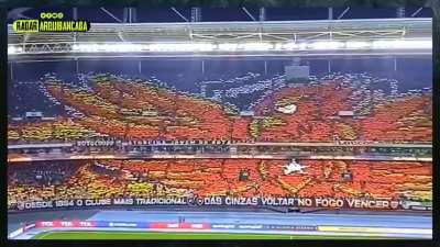 Os 2 mosaicos em sequência que a torcida do Botafogo-RJ fez ontem no jogo contra o Palmeiras