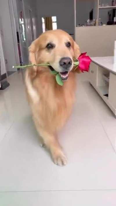 A Romantic Boy!
