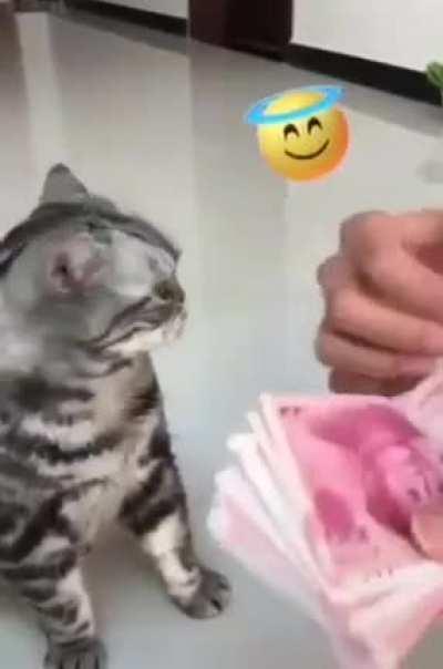 знают денежкам счёт