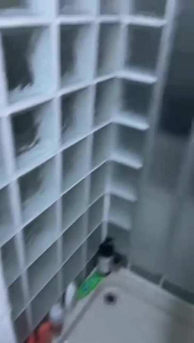 £450pw in London, what do you think of this bathroom?