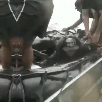 Brazilian jungle warriors