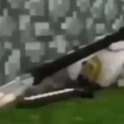 ððð