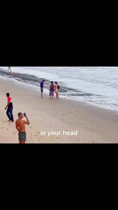 THEY ARE ON OUR SIDE! STANDS ARE SLEEP PARALYSIS TAMED DEMONS!